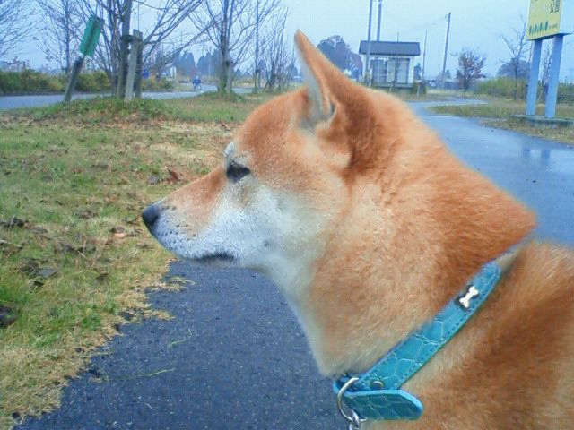 むね焼け。