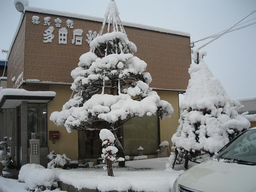 予想より早く。
