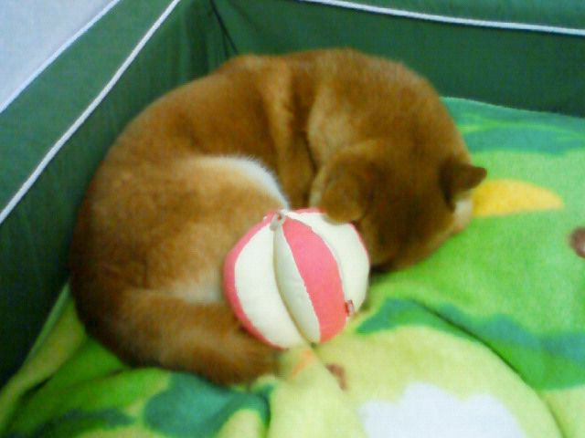 怖い…。