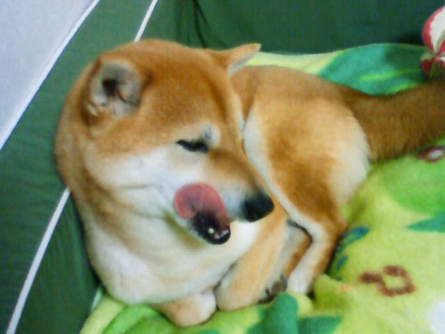 3日前。