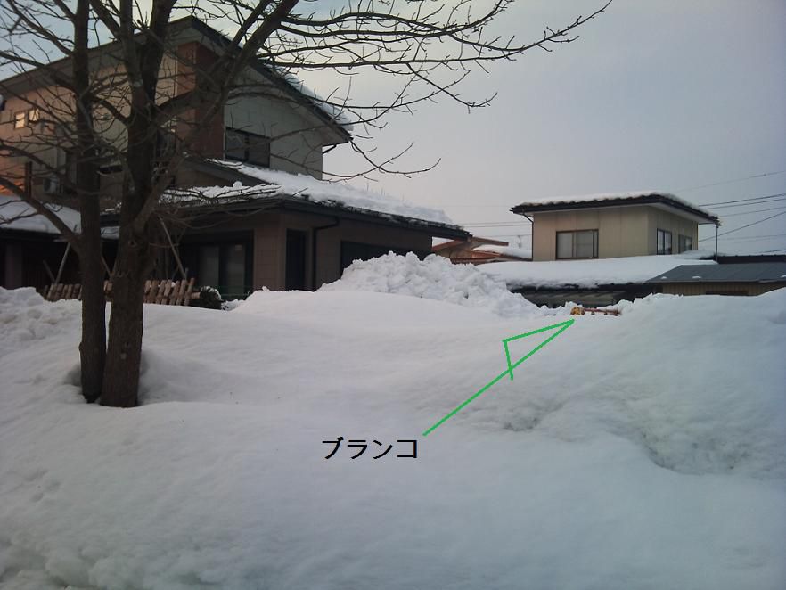 雪害。