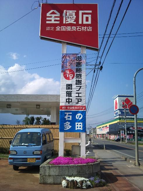 芝桜。