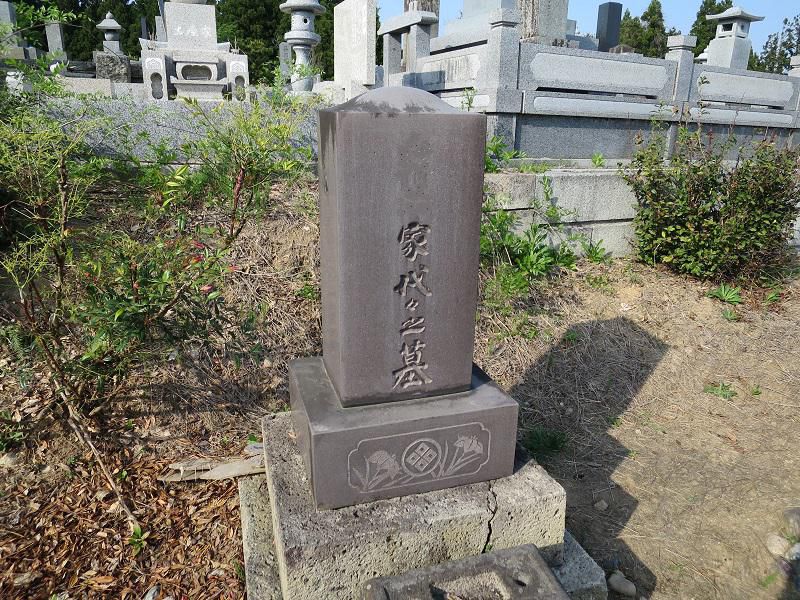 伊達冠石。