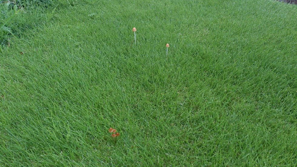 雨の被害に心が痛みます。