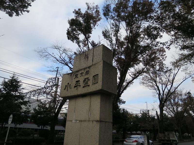 小平霊園。