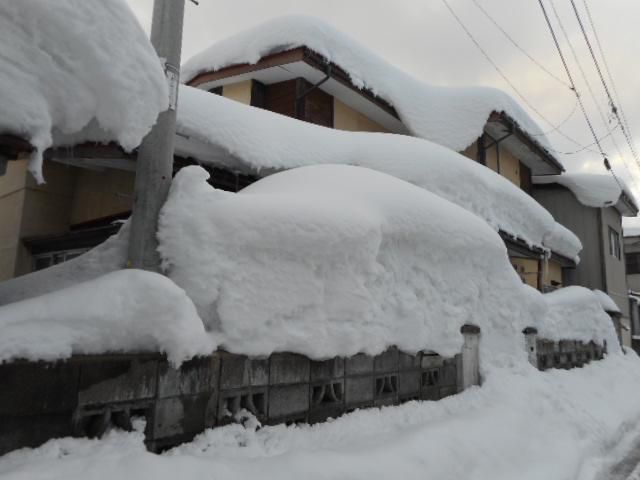 雪！雪！！雪！！！