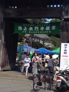 池上本門寺朝市出店いたしました。