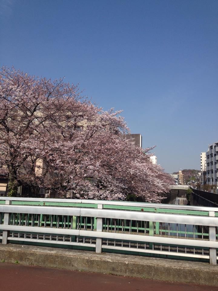 4月イベント予定