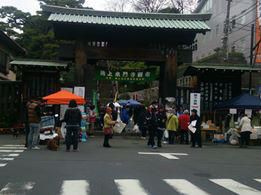 5月15日池上本門寺朝市出店いたします。