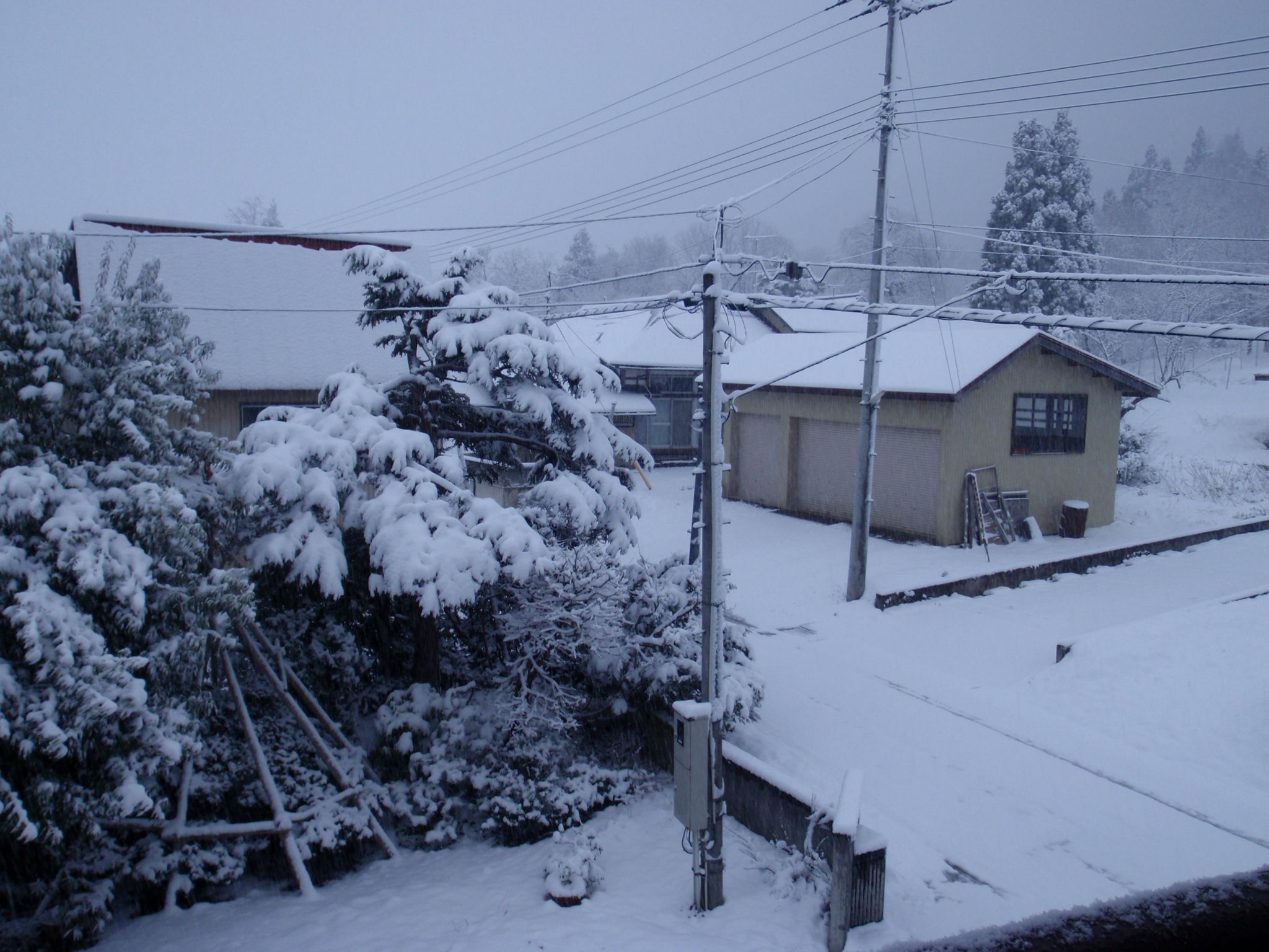 「枝肉市場報告」更新しました！