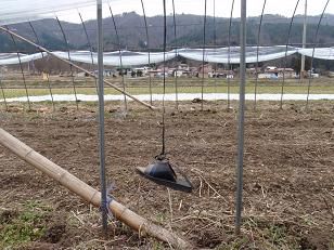 ハウス作りにサンダルが欠かせない!?