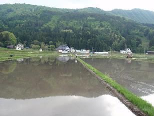 田んぼの仕事をしている家族を探せ!