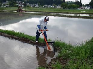 あぜシートを張る9代目