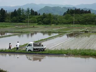 田植えの風景