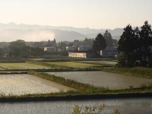 今朝の風景