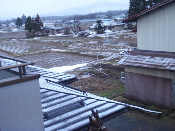 うっすら雪で白い