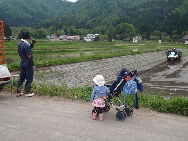 田植えが続いています