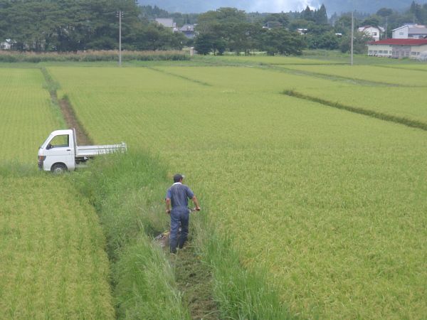 草刈り