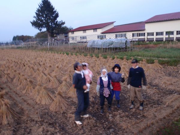 稲わらを乾かす作業、終了！