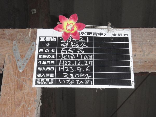 牛舎の花のワケ
