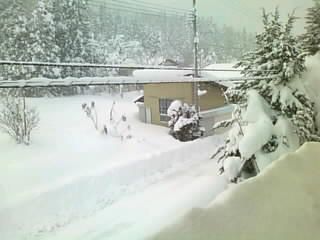 雪、降り過ぎ