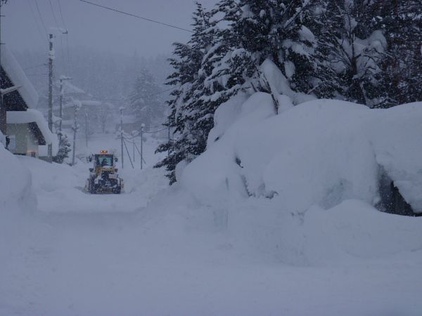 THE 雪国！
