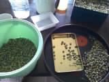 本当は牧草を集めてるのに…