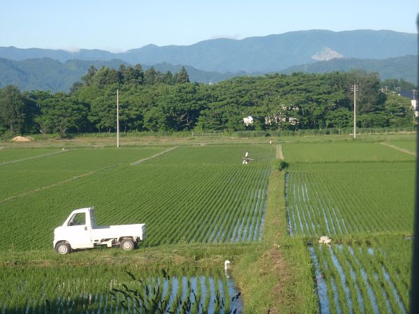 今日もやっぱり熱が出ています