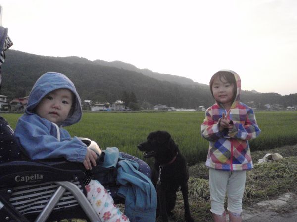 今日は米沢で賞を決める枝肉市場があります