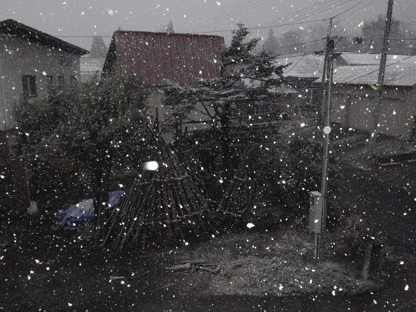 雪だー！