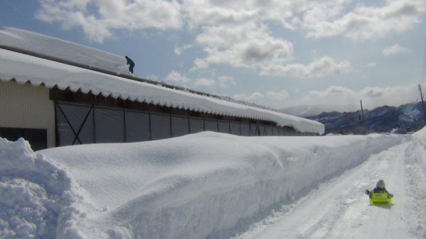今日は晴れています