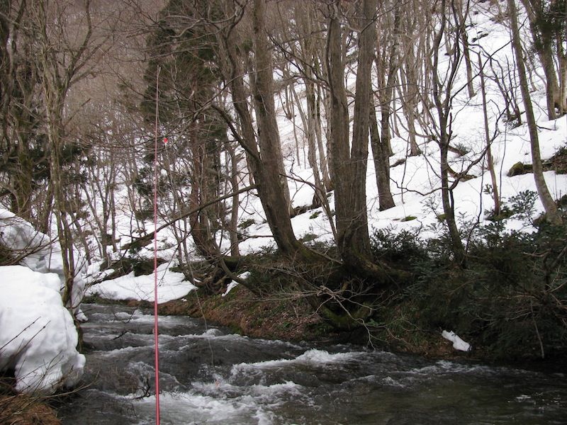 山にも雪少ないなぁ