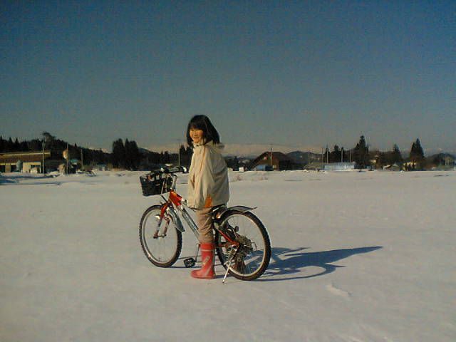 数年前のかた雪