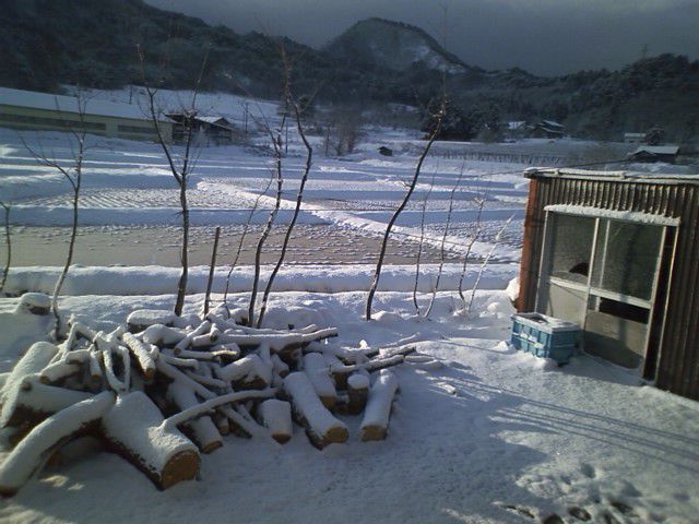 昨夜の雪は・・・・・・テレビを撤去す