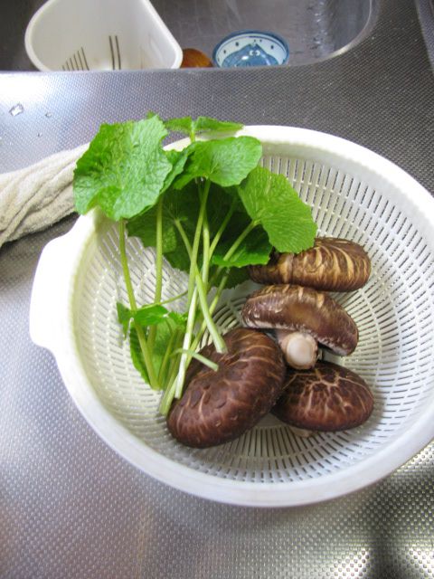初物　ワサビの葉っぱとシイタケ