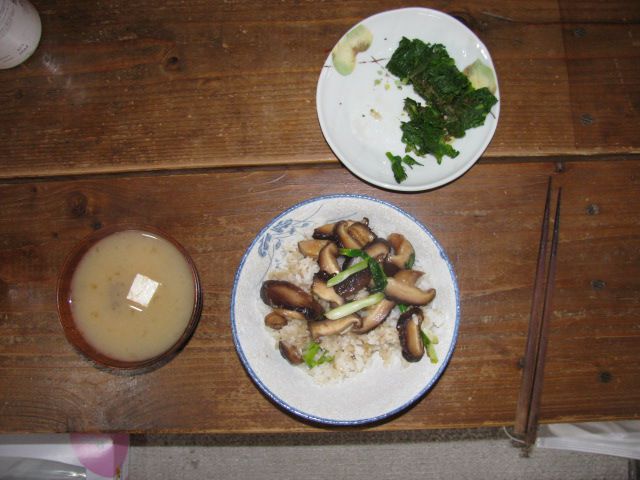 シイタケ丼
