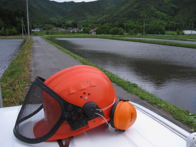 はぁ～　草刈り