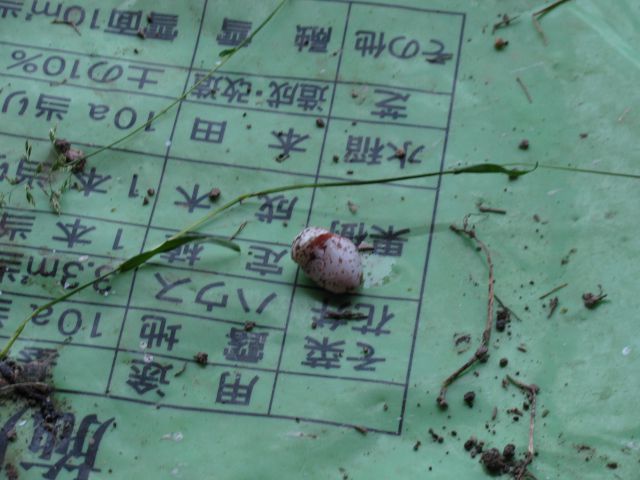 朝から　悲しい気分