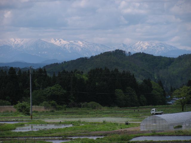 身体が二つ欲しい・・・・