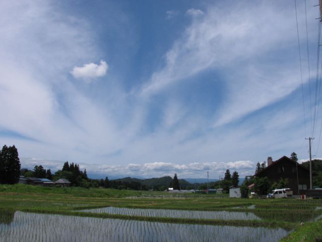sunshine　激しく