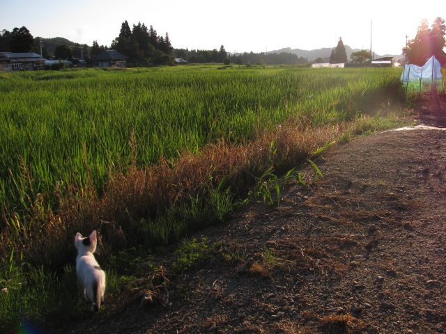 ん～　まいった