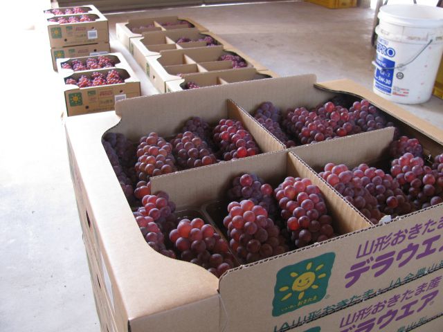 2010年８月２６日