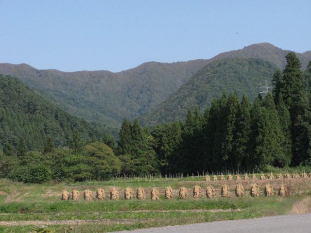 秋が山から降りてきた