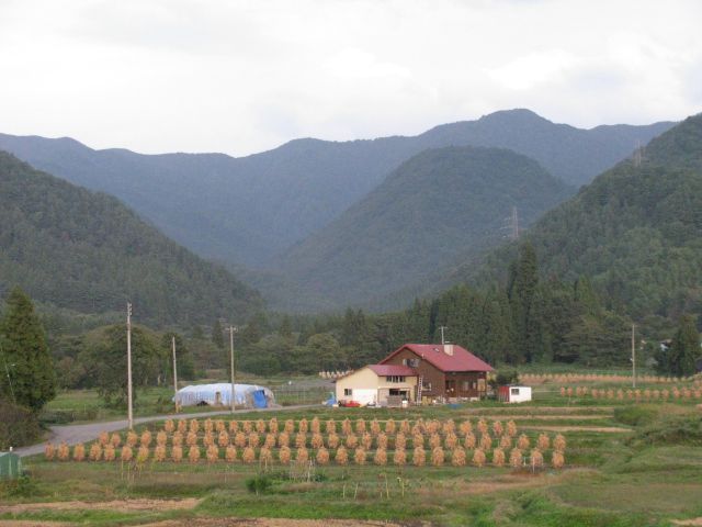 山懐の我が家