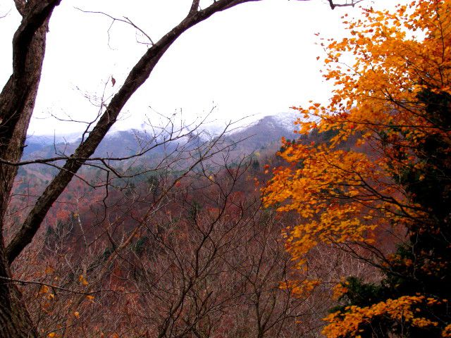 山の上は雪だ～