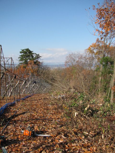 木を切るということ