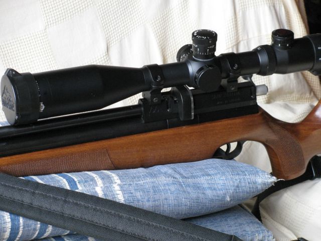 空気銃で初獲物