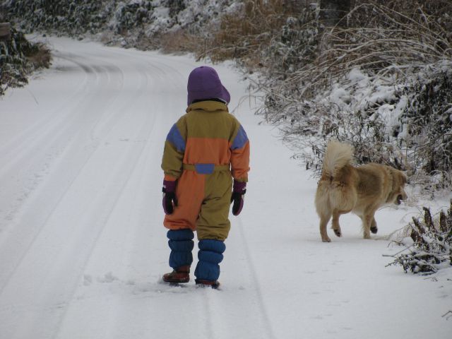 １２月１８日曇り時々雪