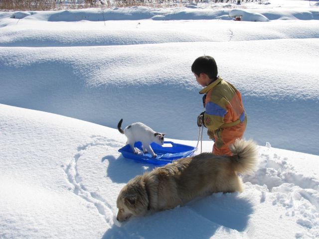 雪遊び