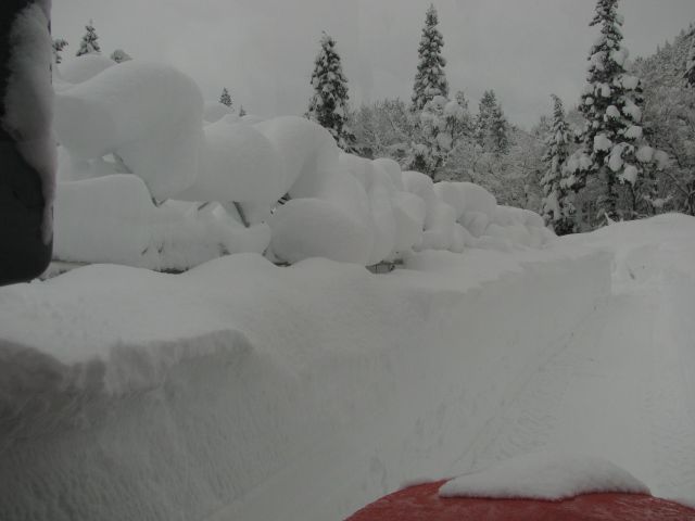昨日の雪